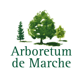 Logo Arboretum De Marche